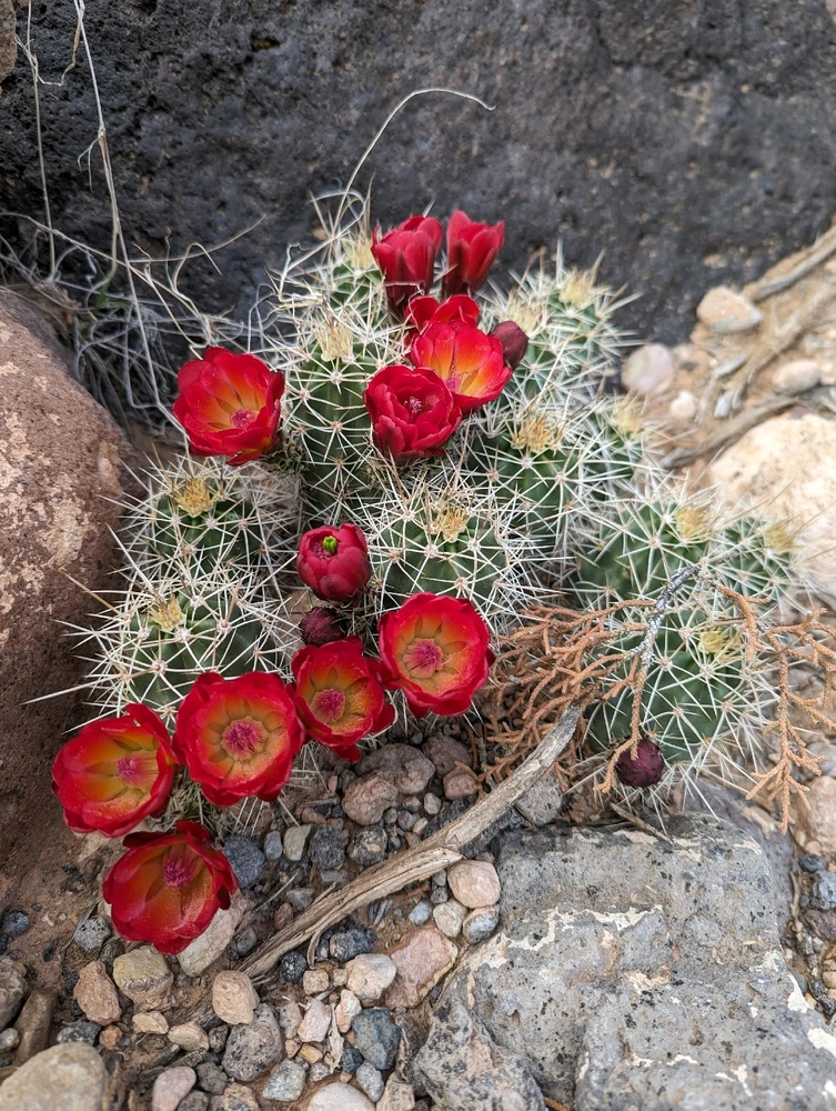 Image uploaded by Bailey