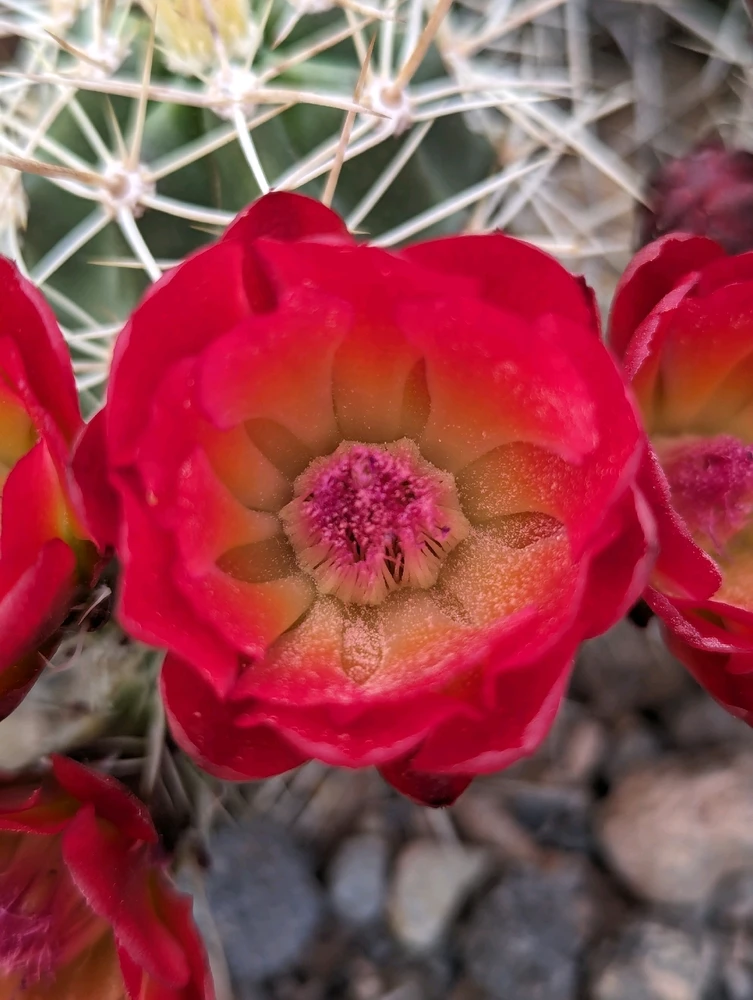 Image uploaded by Bailey