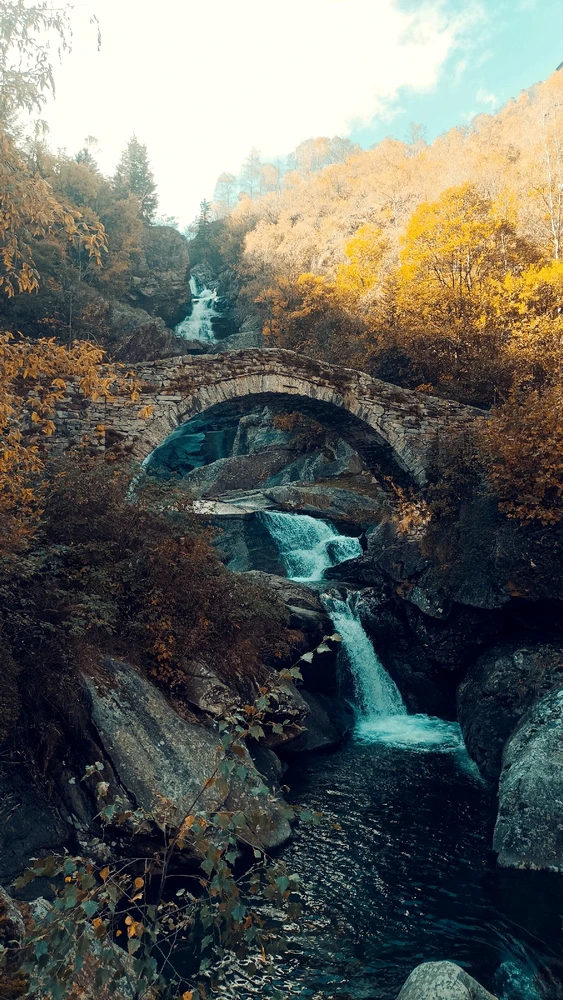 Immagine caricata da Giulio