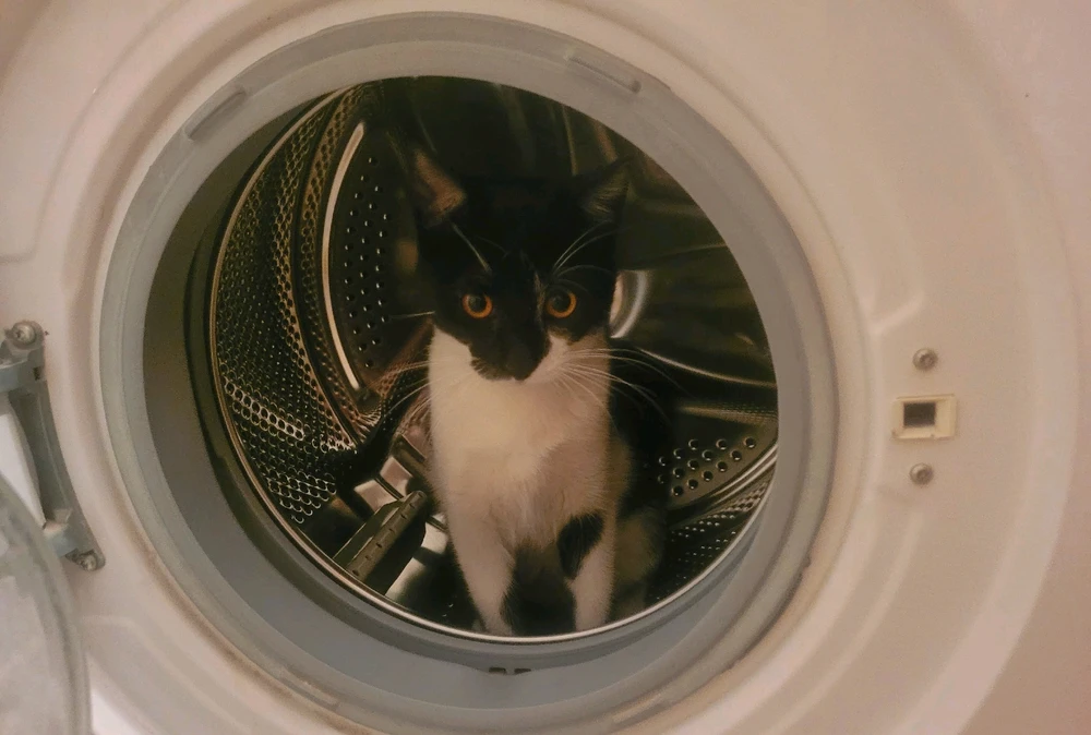 GIF diunggah dening Aslı