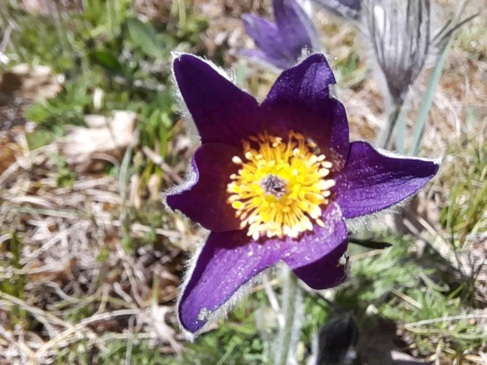 GIF ajouté par Rick