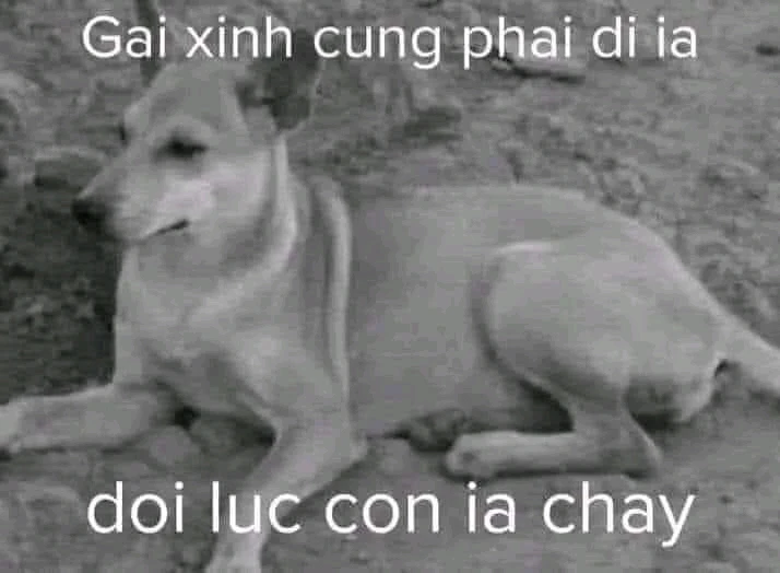 GIF được hoàng linh tải lên