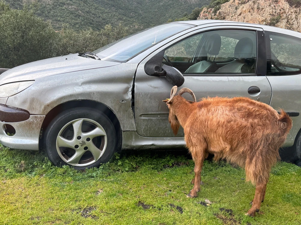 GIF ajouté par Lucas