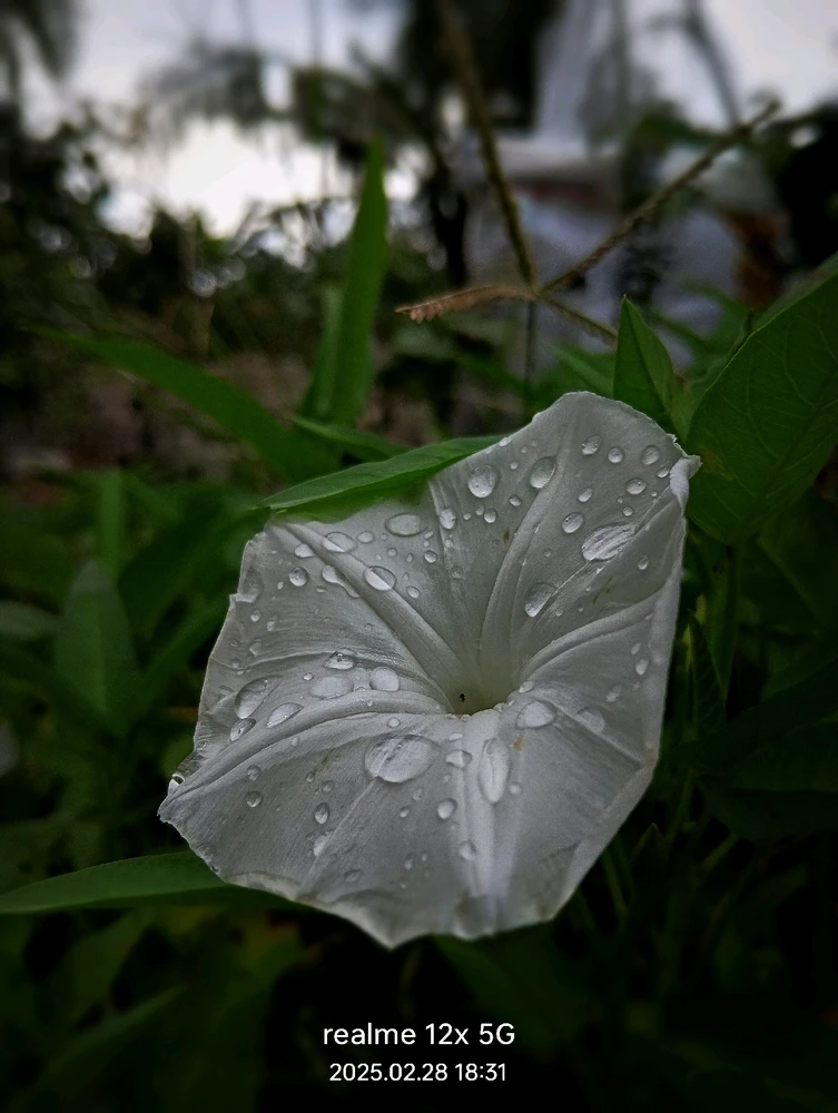 GIF uploaded by Hitam