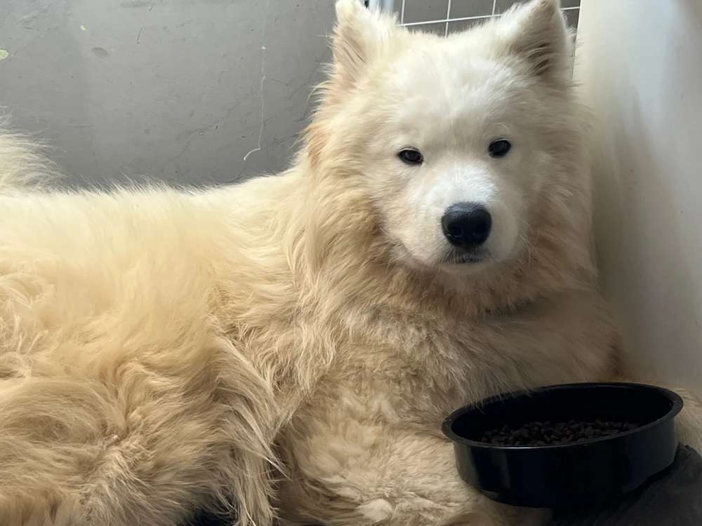 GIF uploaded by Justyna