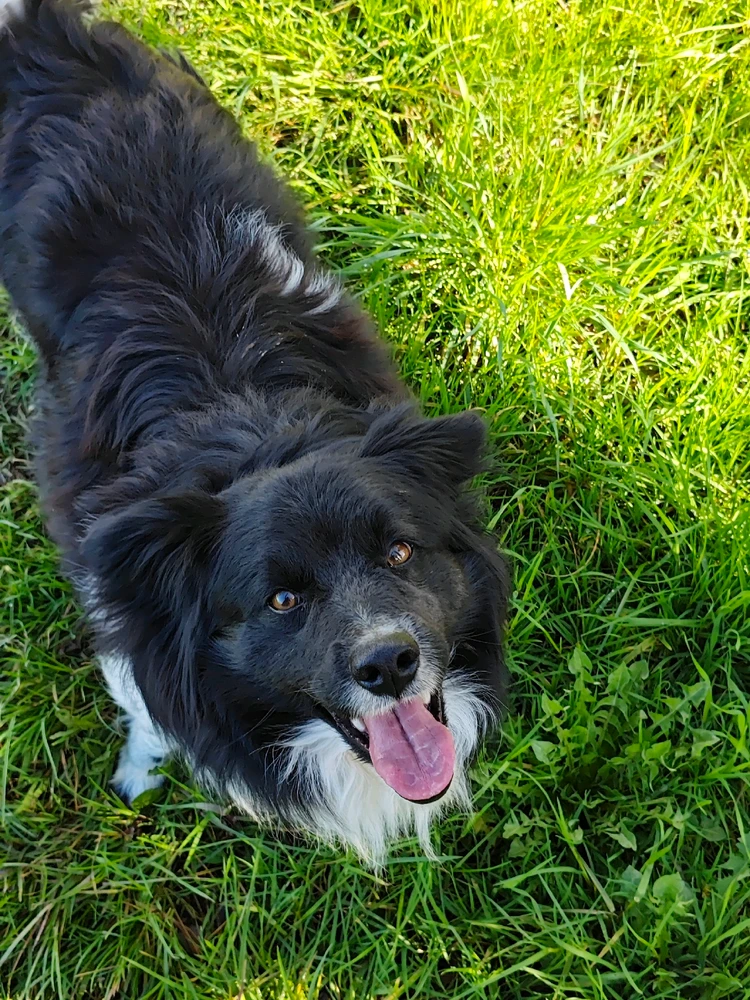 GIF caricata da Alex