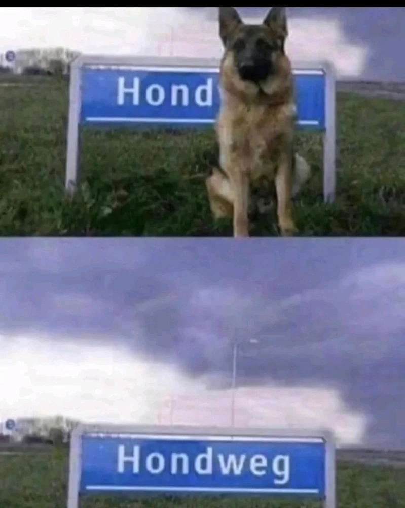 GIF hochgeladen von Jonathan