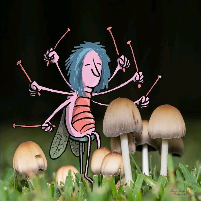 Фото загрузил Maksim