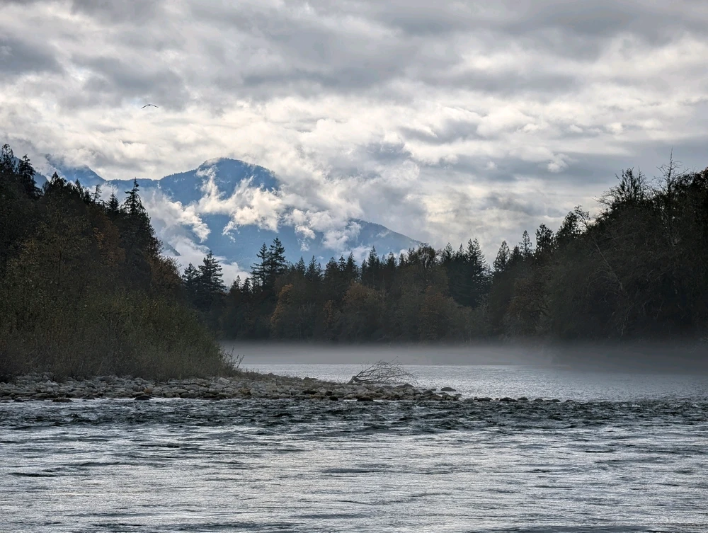 GIF uploaded by 🇺🇲Daniel Fisk Bennett