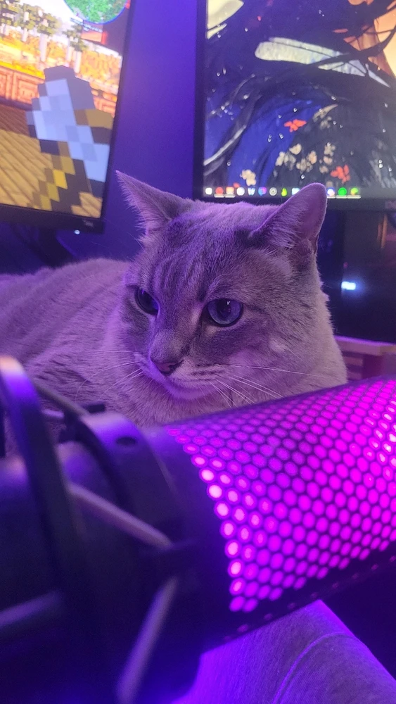 GIF subido por Jared