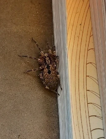 Immagine caricata da Namy