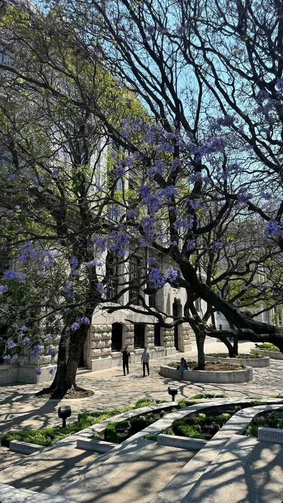 Bellas Artes ~ México city.