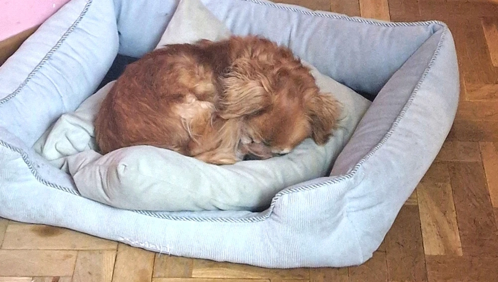 Imagen subida por Jules