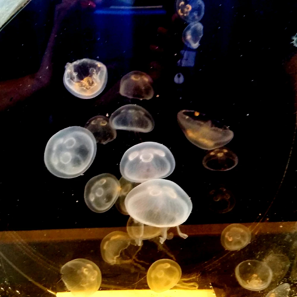 Image uploaded by laila♡