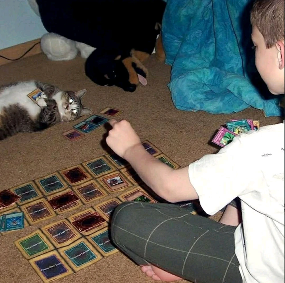 GIF diunggah oleh Frieza