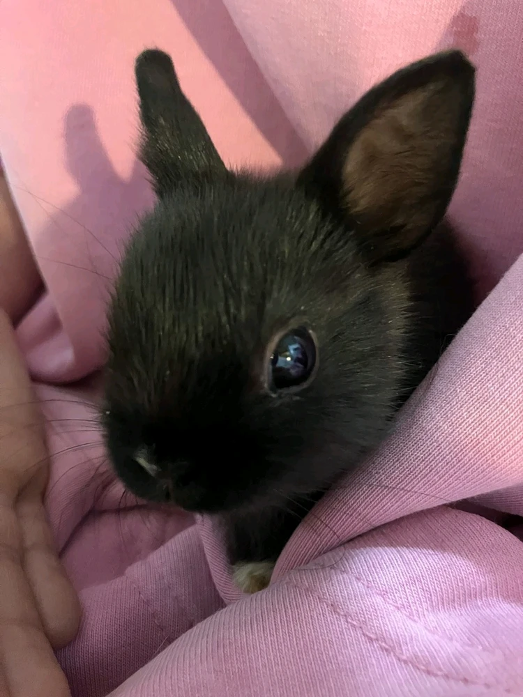 ЛинаがアップロードしたGIF