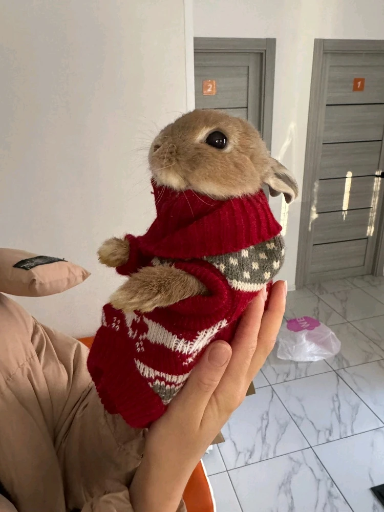 ЛинаがアップロードしたGIF