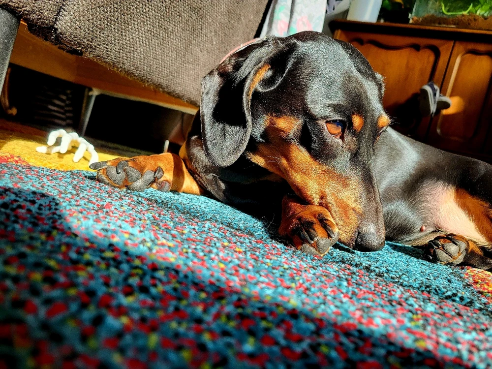 GIF hochgeladen von Hagalaz