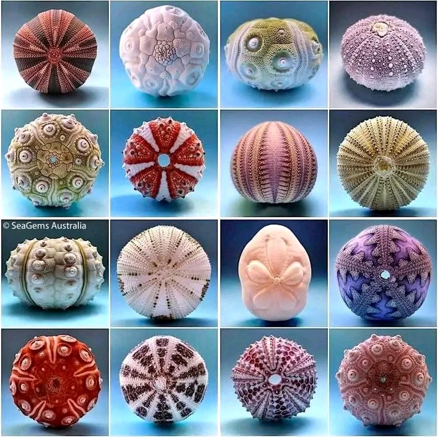 GIF ajouté par Stef