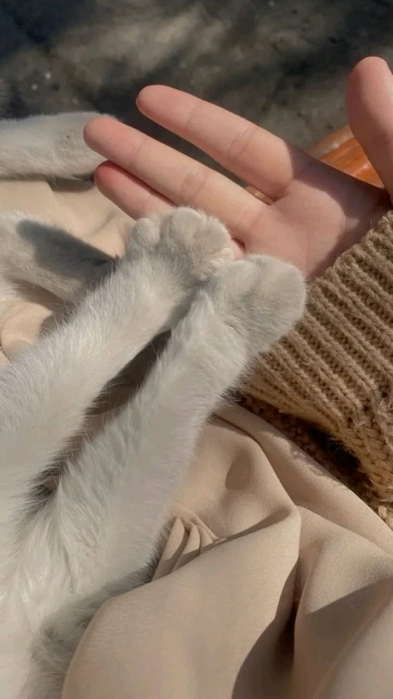 GIF uploaded by Nero