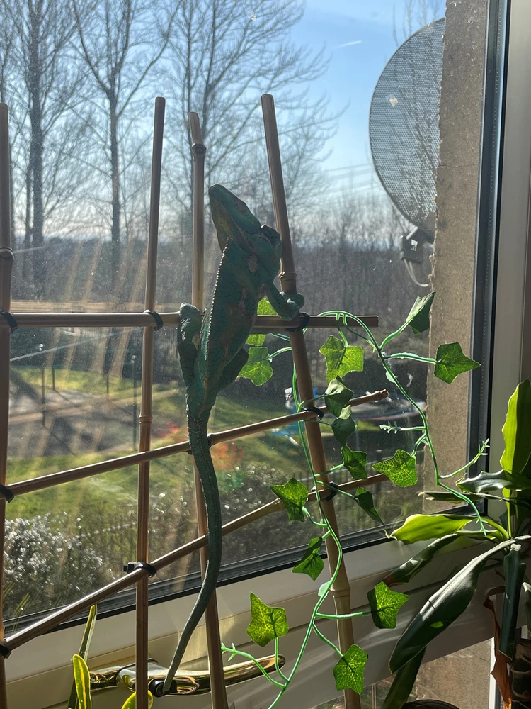 GIF uploaded by Vincent