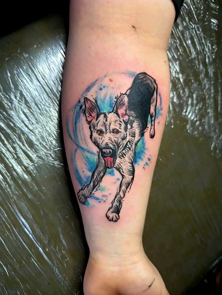 Obrázek nahrál Lili