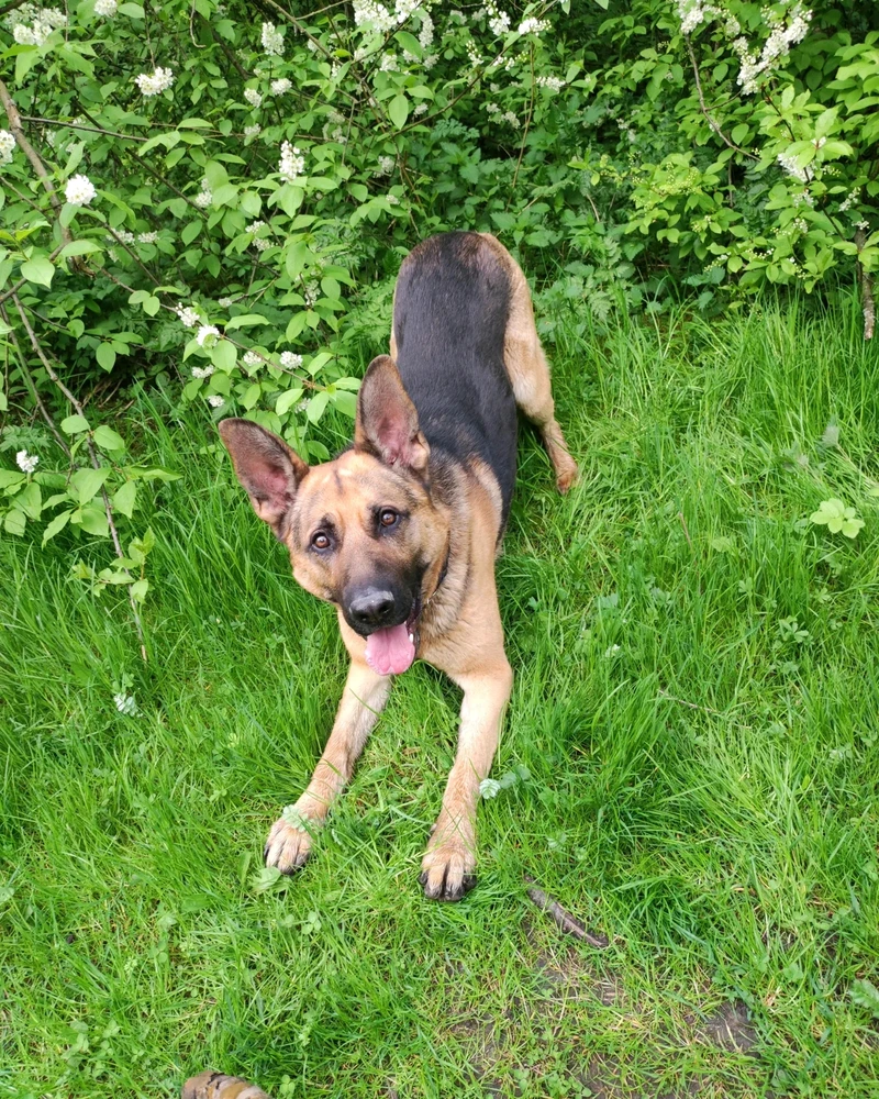 Obrázek nahrál Lili