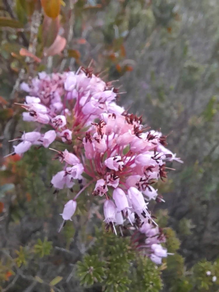 Image ajoutée par Rick