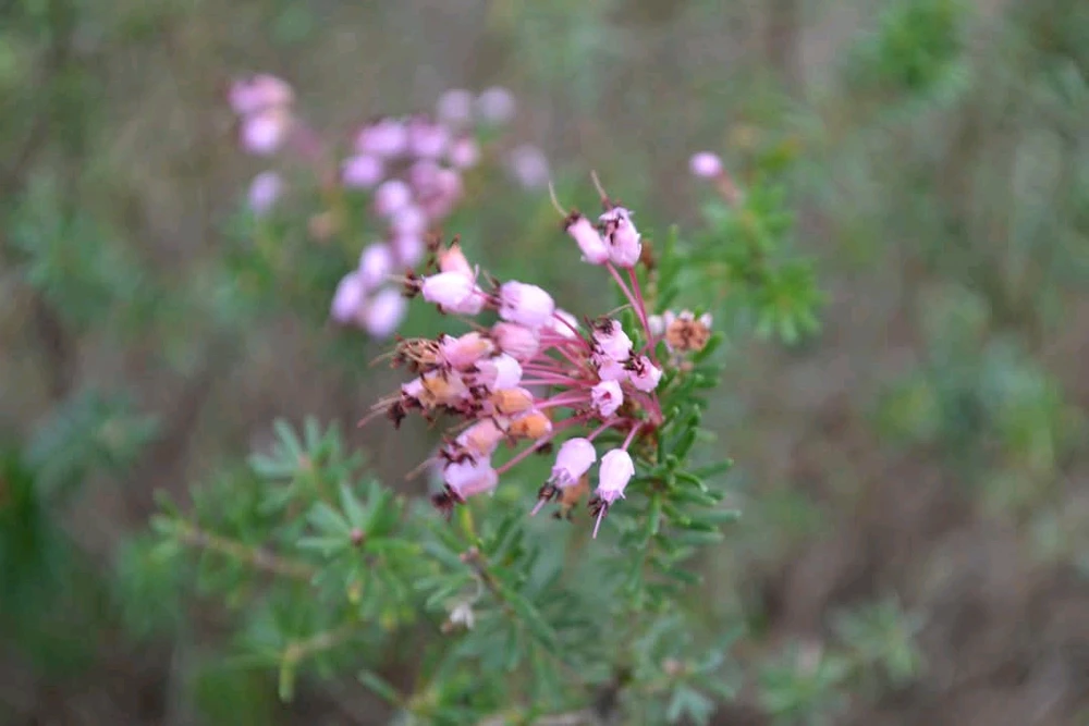 Image ajoutée par Rick