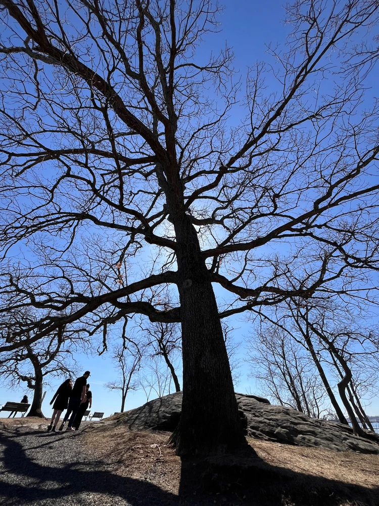 GIF uploaded by Asger