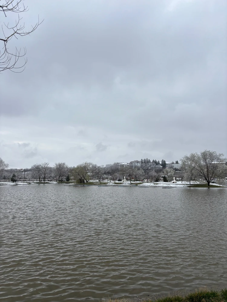 GIF încărcat de Cata