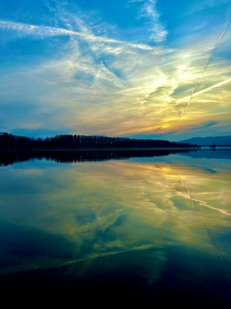 GIF hochgeladen von Flo