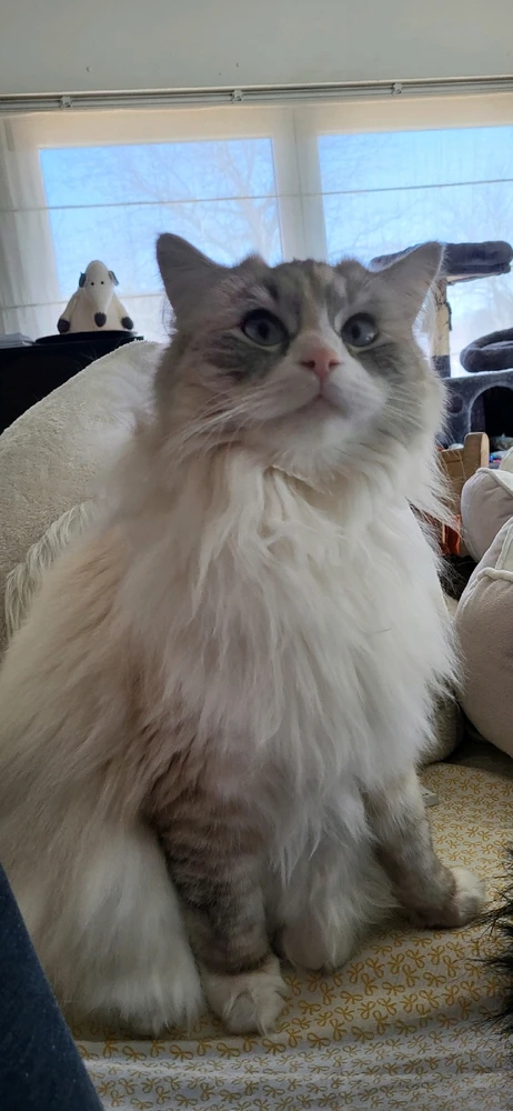 GIF uploaded by Sander