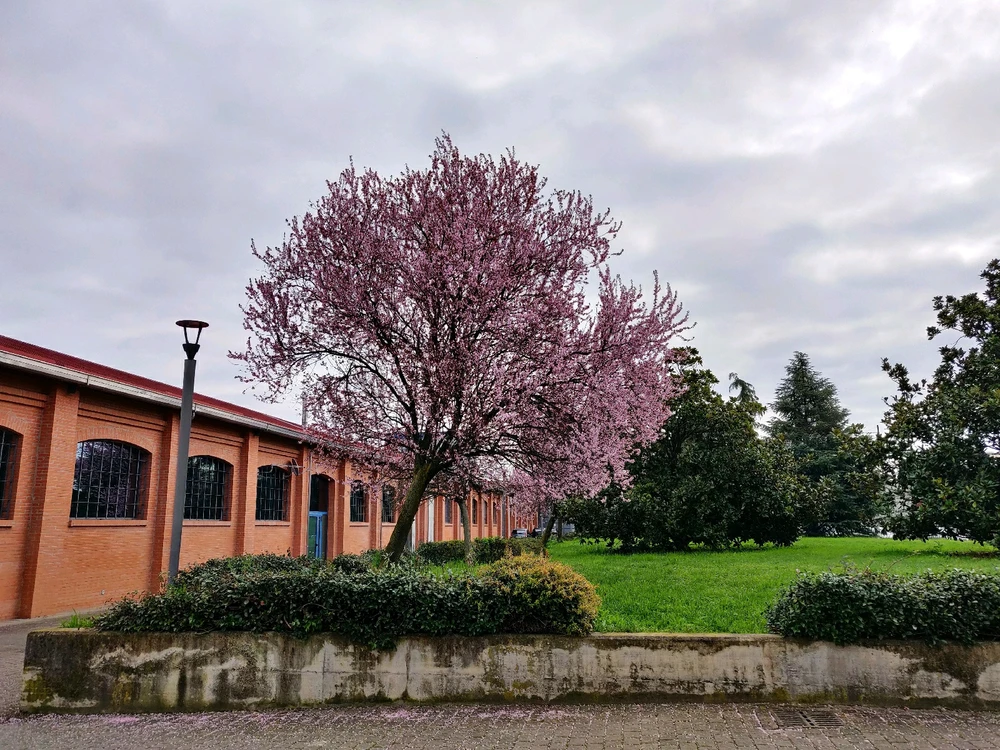 Immagine caricata da Andrea