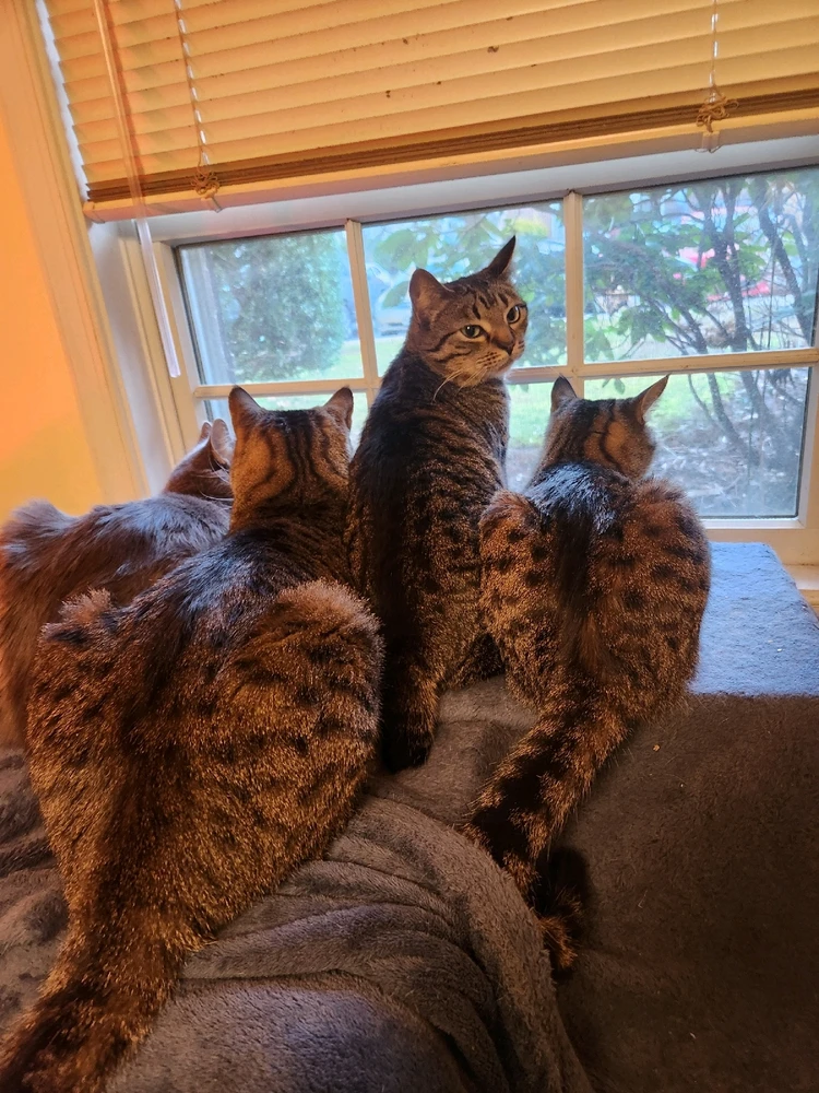 GIF uploaded by Bryan