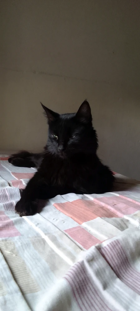 Imagem enviada por Kelly