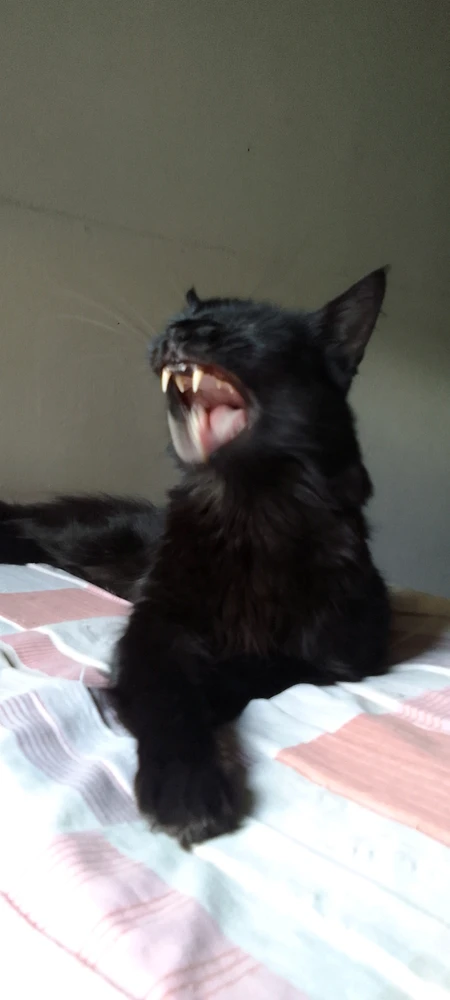 Imagem enviada por Kelly