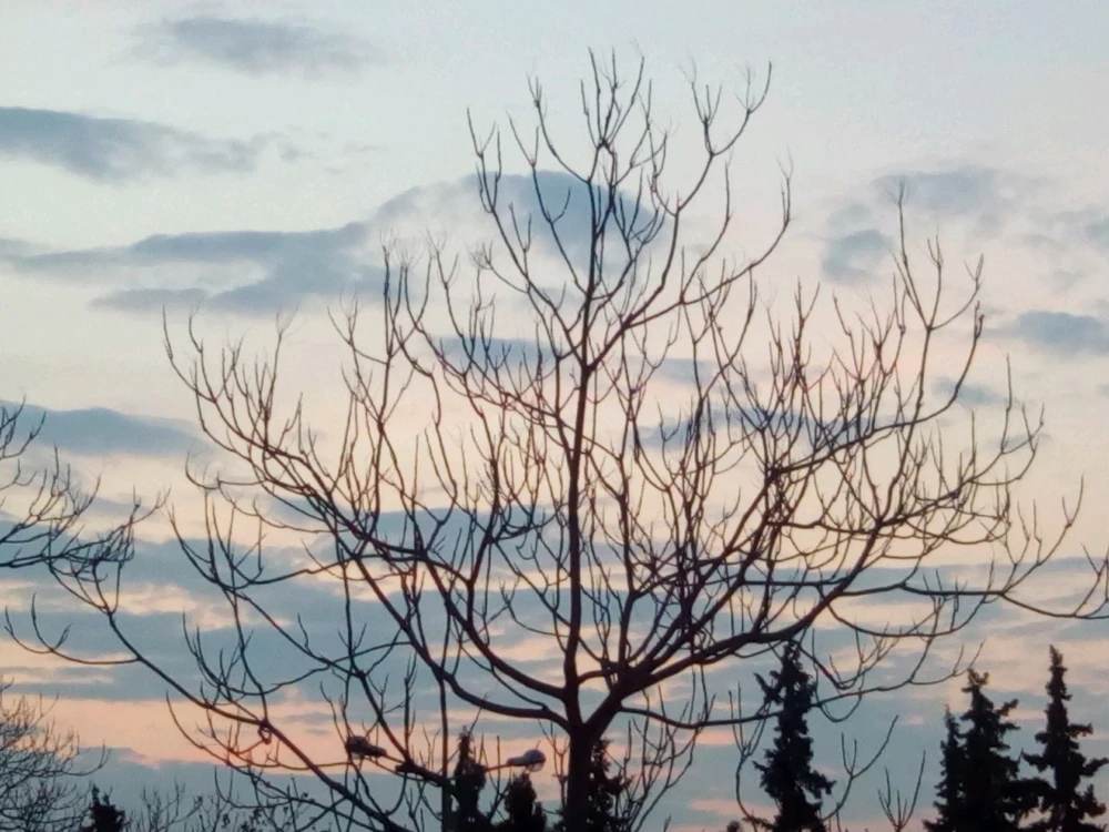 GIF ανέβηκε από Liakoss