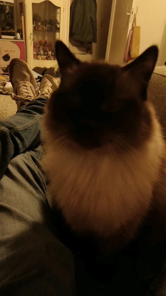 GIF geüpload door Erik