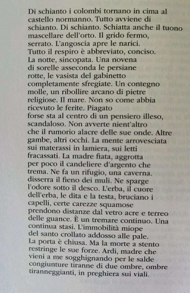 Immagine caricata da Nadir