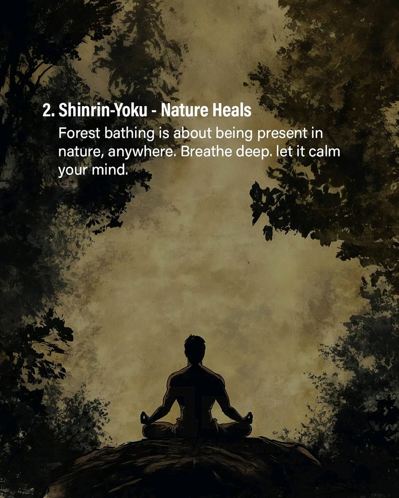 Фото загрузил Alexey