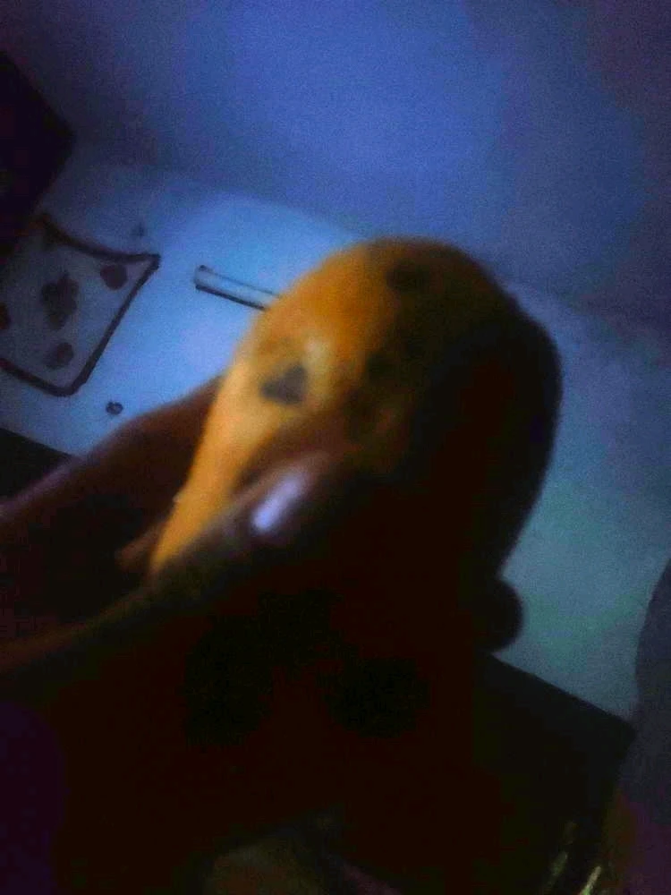 Ismael님이 올린 GIF