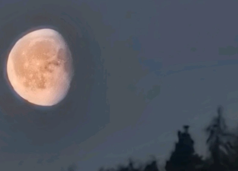 GIF uppladdad av Per
