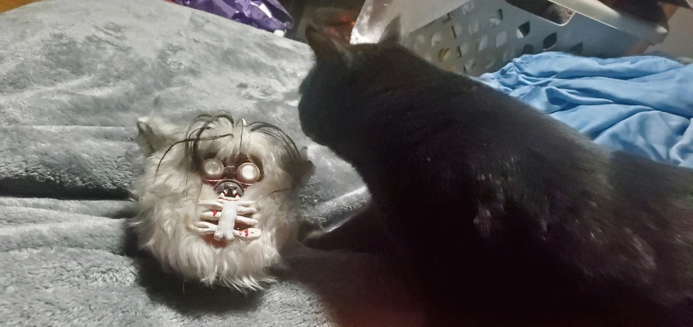 Image uploaded by William