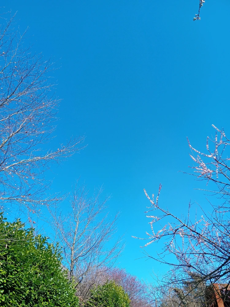 GIF ajouté par Marie