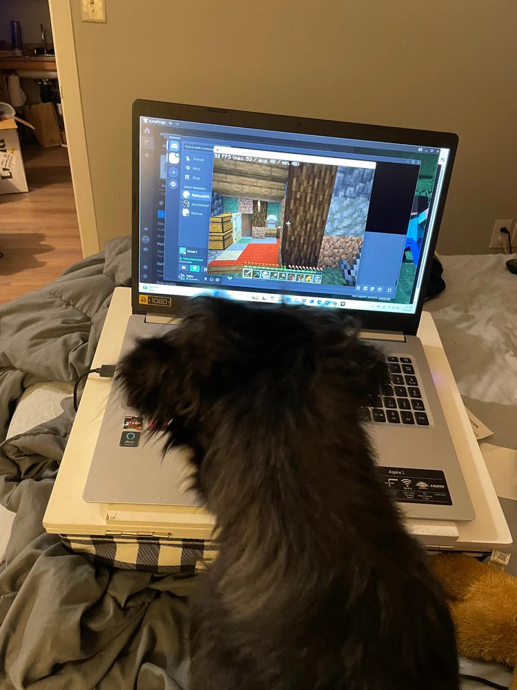 GIF uploaded by Francesca