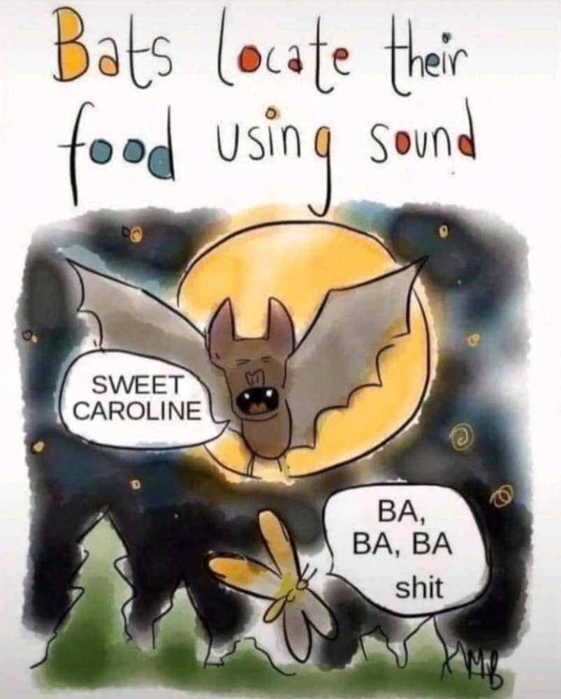 GIF hochgeladen von Martin