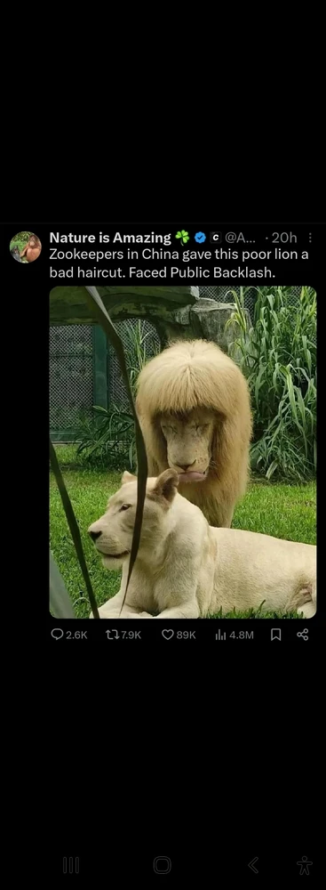 GIF uploaded by Jason 龙