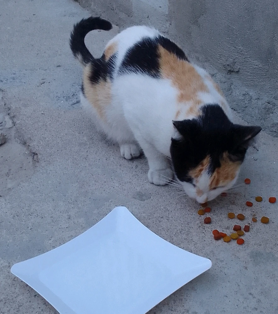 GIF enviado por Kelly