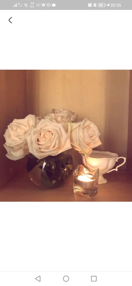 Фото загрузил ANITRA